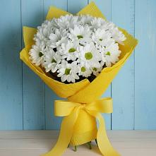 Букет цветов из:  Хризантемы #REPLACE_PRED# Привольной