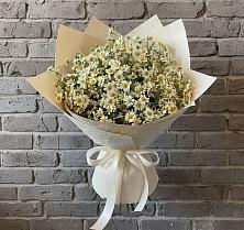 Букет цветов из:  Ромашки #REPLACE_PRED# Привольной