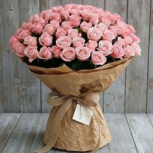 Букет 151 Роза Роуз #REPLACE_PRED# Привольной